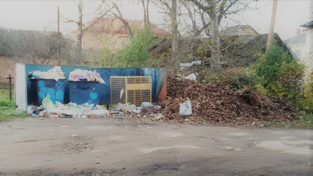 Нехтування мешканцями Дрогобича правилами утилізації сміття призвело до накопичення ТПВ на сміттєвих майданчиках