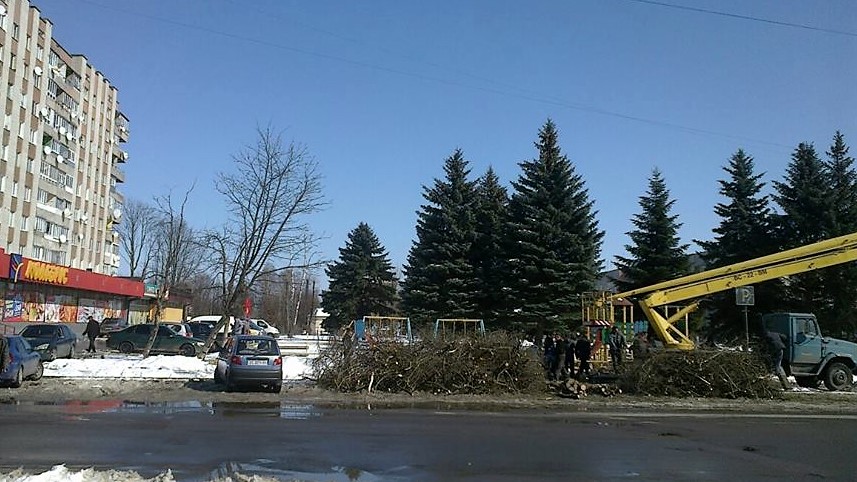 У Дрогобичі тривають роботи зі зрізки та кронування дерев: Перелік адрес