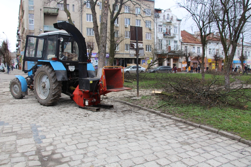 У Дрогобичі вирішують проблему з накопиченням гілок дерев на вулицях міста, зокрема на сміттєвих майданчиках