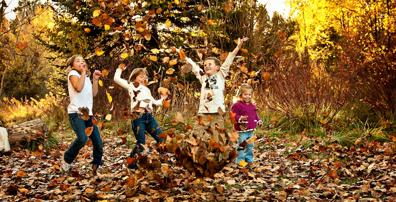 Осінні канікули у школах Дрогобича розпочнуться з 31 жовтня