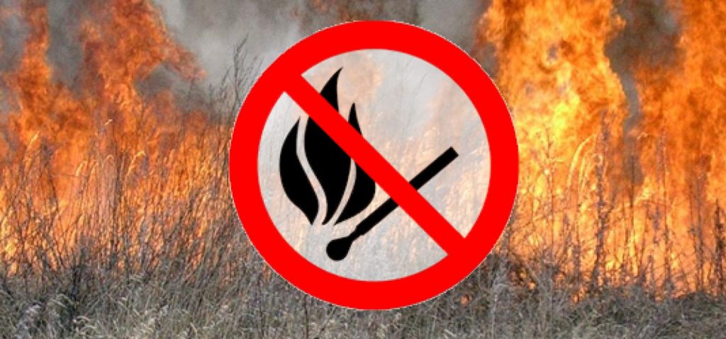 НС та ЦЗН: Спалювання сухої трави – загроза не лише для екології, але й людського життя