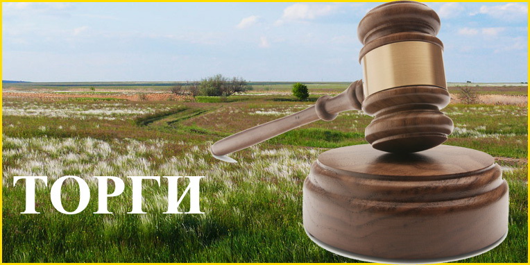 У Дрогобичі відбудуться земельні торги у формі аукціону: Перелік земельних ділянок, підготовлених для продажу