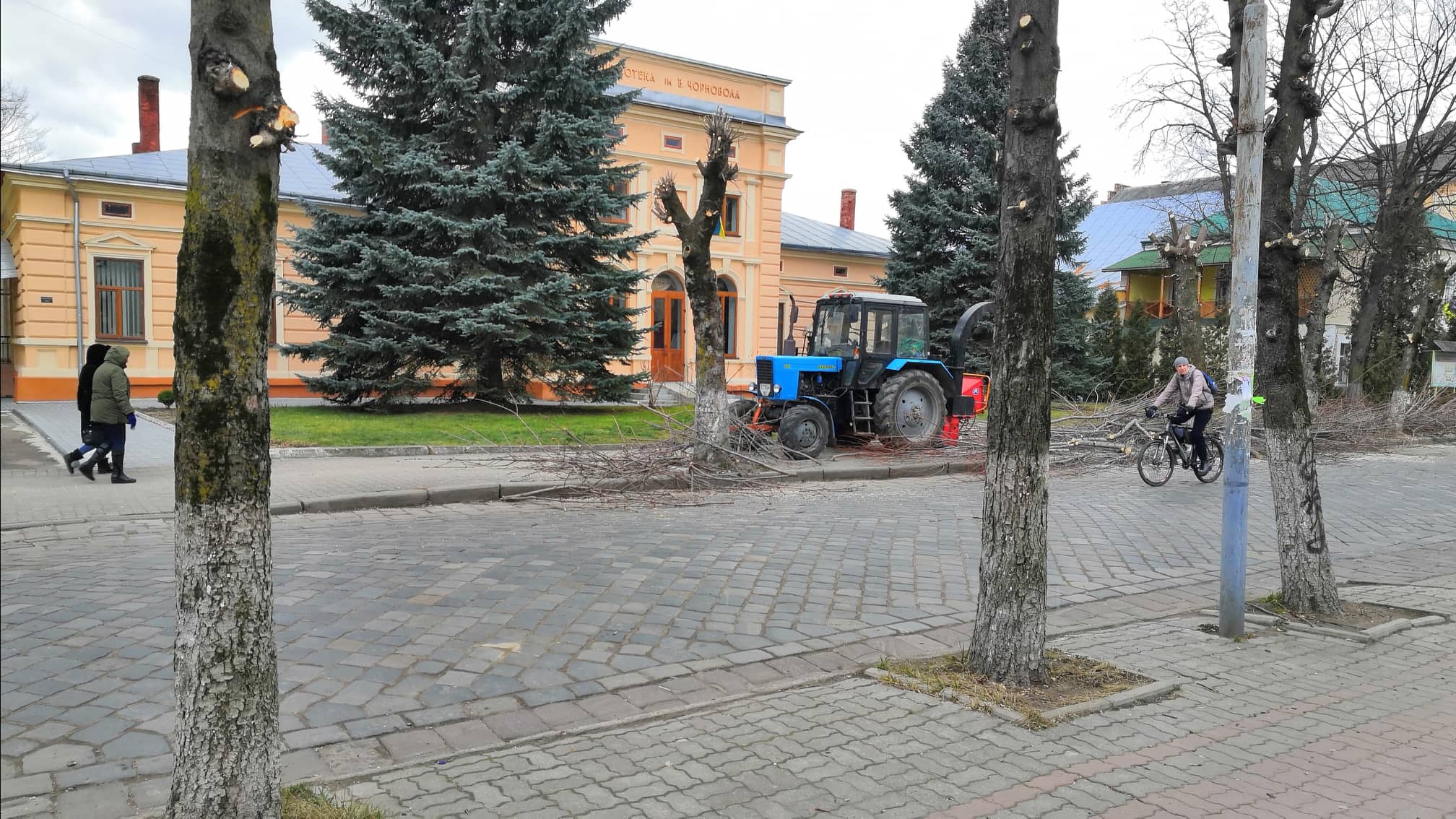 КП “Комбінат міського господарства” продовжує кронувати дерева вздовж доріг
