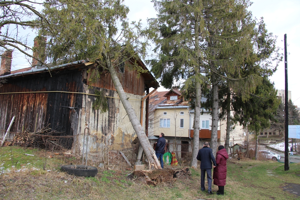 Приватний будинок, на який впало дерево під час буревію, відремонтує місто