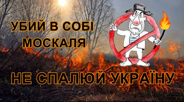 За минулу добу на території Львівщини зареєстровано 46 пожеж сухої трави