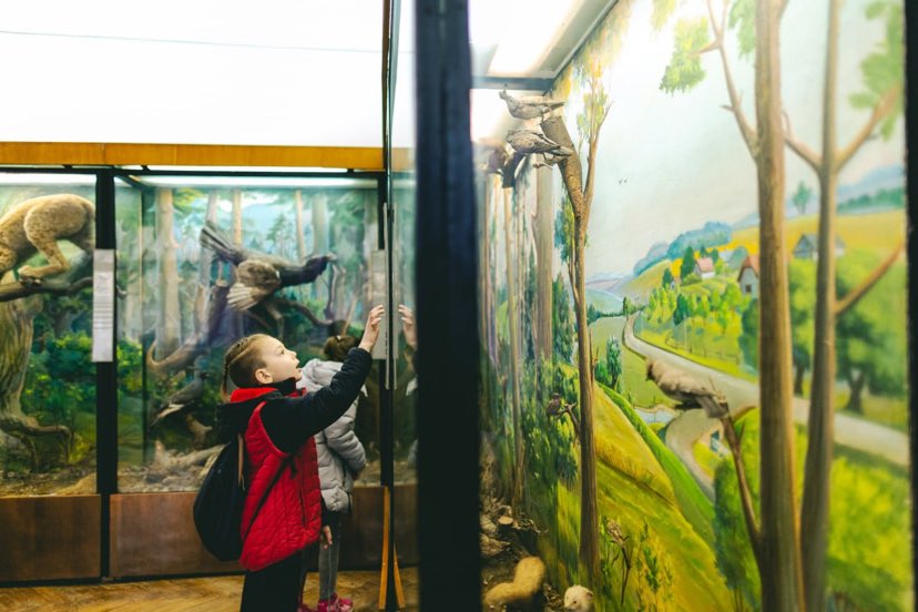 Відділ природи музею “Дрогобиччина” запрошує дітей молодшого шкільного віку на захопливу інтерактивну екскурсію-гру “Легенди про птахів”!