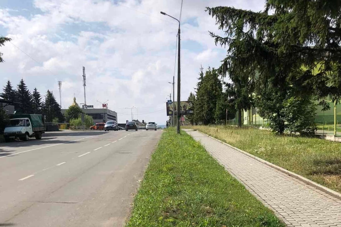 Озеленення міста: на вулиці Винниченка планують висадити алею гостролистих кленів