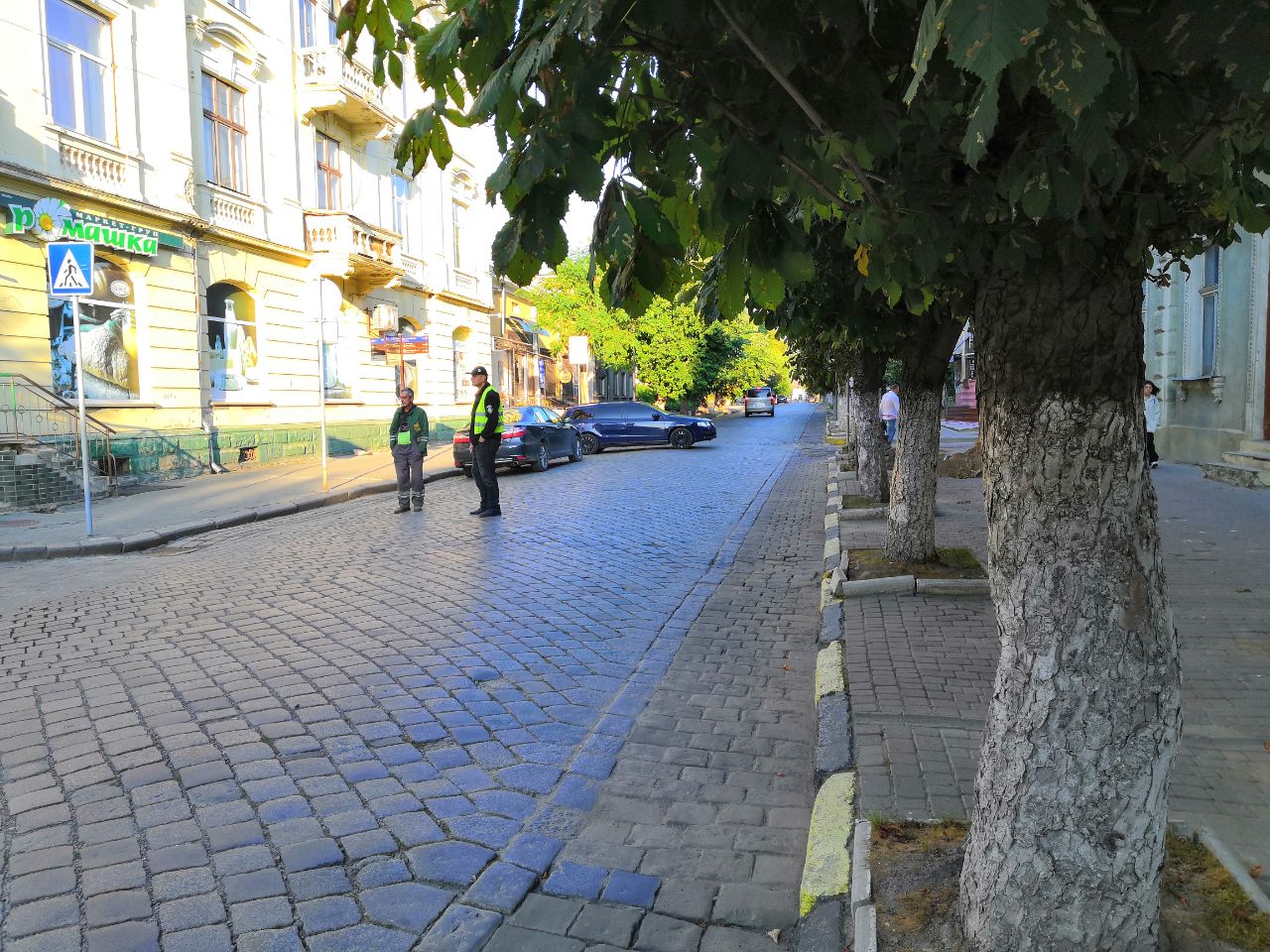 Частину вулиці Тараса Шевченка перекрито для проїзду транспорту. Проводять обрізку гілок дерев