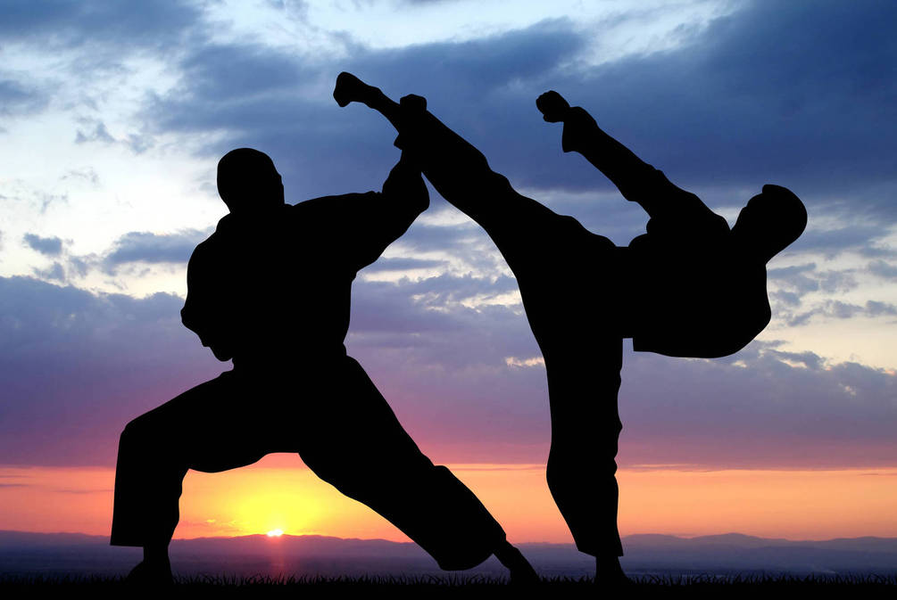 23 червня у Дрогобичі проведуть Фестиваль бойових мистецтв