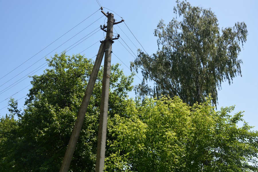Висадка дерев під лініями електропередач заборонена – ПрАТ «Львівобленерго»