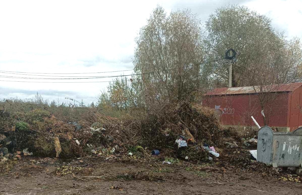 Чисто там, де не смітять: у Дрогобичі ліквідували два стихійні сміттєзвалища