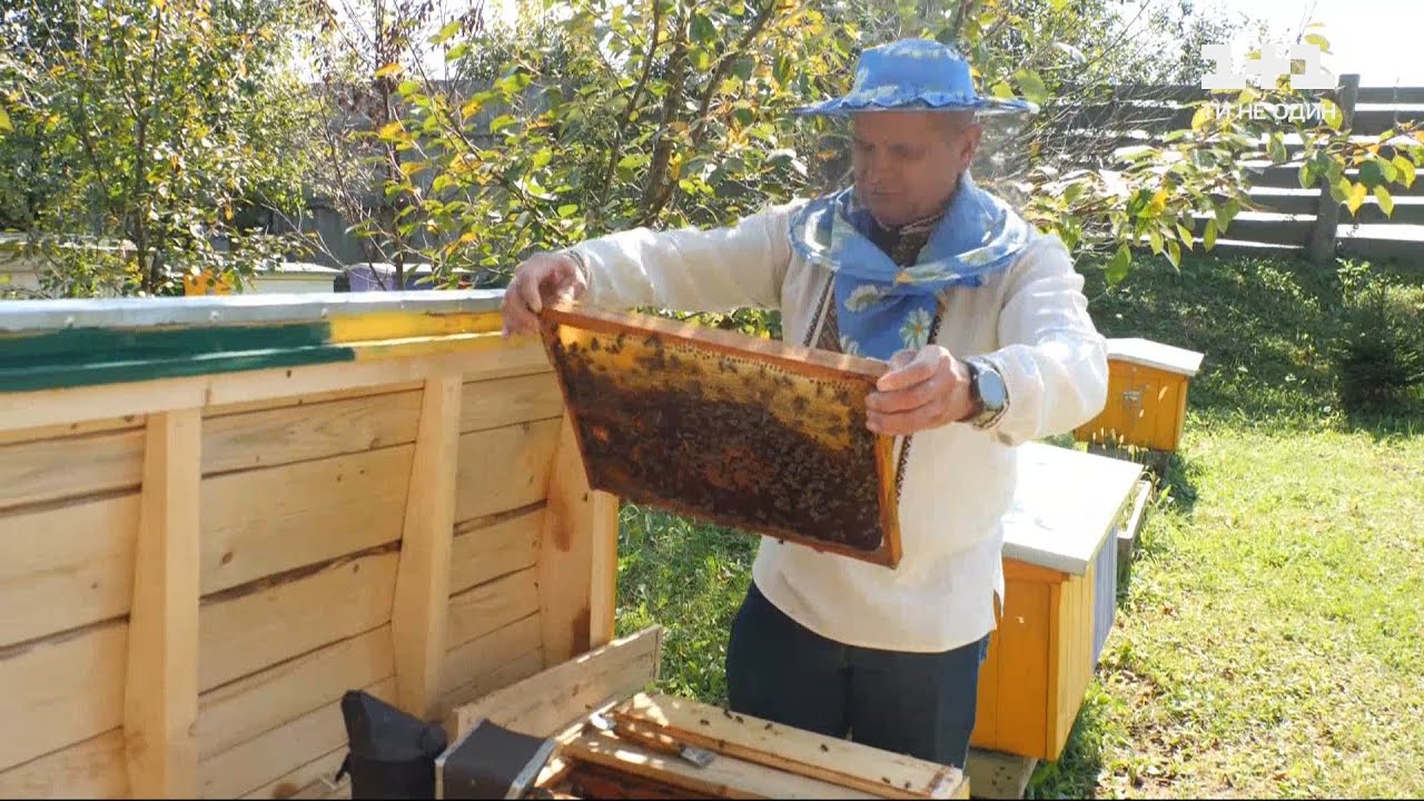 Пасічників Дрогобиччини запрошують на онлайн-нараду з питань дотримання вимог законодавства у сфері бджільництва