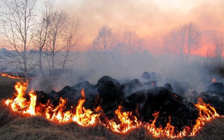 За добу, що минула вогнеборці Львівщини ліквідували 13 пожеж сухої трави: мешканців закликають припинити випалювати сухостій 
