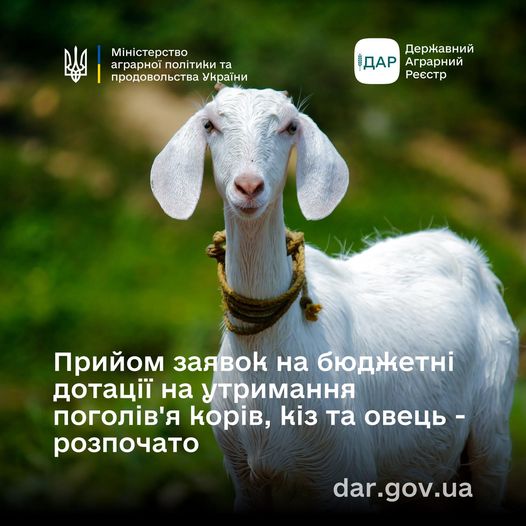 До уваги аграріїв! Стартував прийом заявок на спеціальні бюджетні дотації