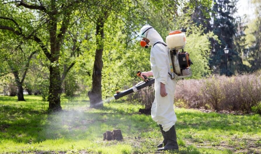 У Дрогобицькій громаді розпочнуть обробку від кліщів: графік